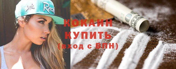 сатива Богданович