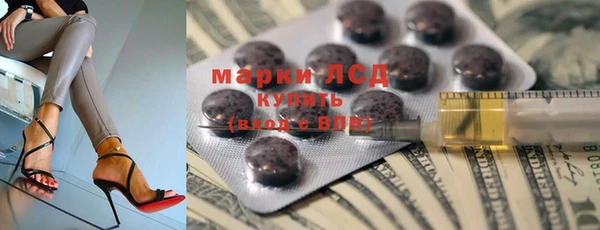 сатива Богданович