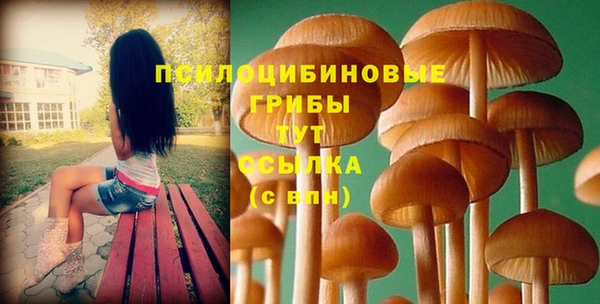сатива Богданович