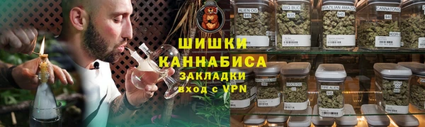 2c-b Ельня